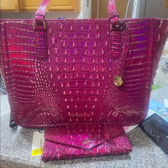 Brahmin potion Ashlee and matching wallet